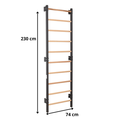 Metallische Sprossenwand STEEL 1 – Graphit mit Buchenholzsprossen | RINAGYM