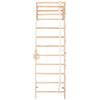 RINAGYM Terrain de Gymnastique Enfants - Jungle de Jeu Intérieur et Extérieur en Bois - Mur et Barres de Singe, Anneaux, Corde, Poutre, Échelle Suédoise, Balançoire - À Partir de 2 Ans (Kombi 2)