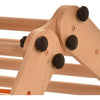 Rinagym indoor Klettergerüst – Indoor Leiter mit Kletternetz - Zusammenklappbarer Holzrahmen für Kinder - Sicherheitsschloss - 50 kg Tragkraft (9g7s)+ 20kg für Rutsche