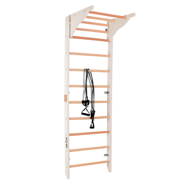 Sprossenwand PRO PURE RINAGYM – Gesamtansicht