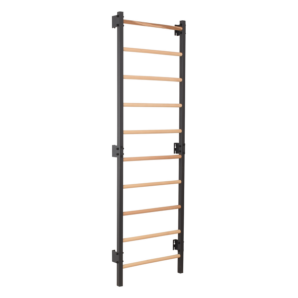 Metallische Sprossenwand STEEL 1 – Graphit mit Buchenholzsprossen | RINAGYM