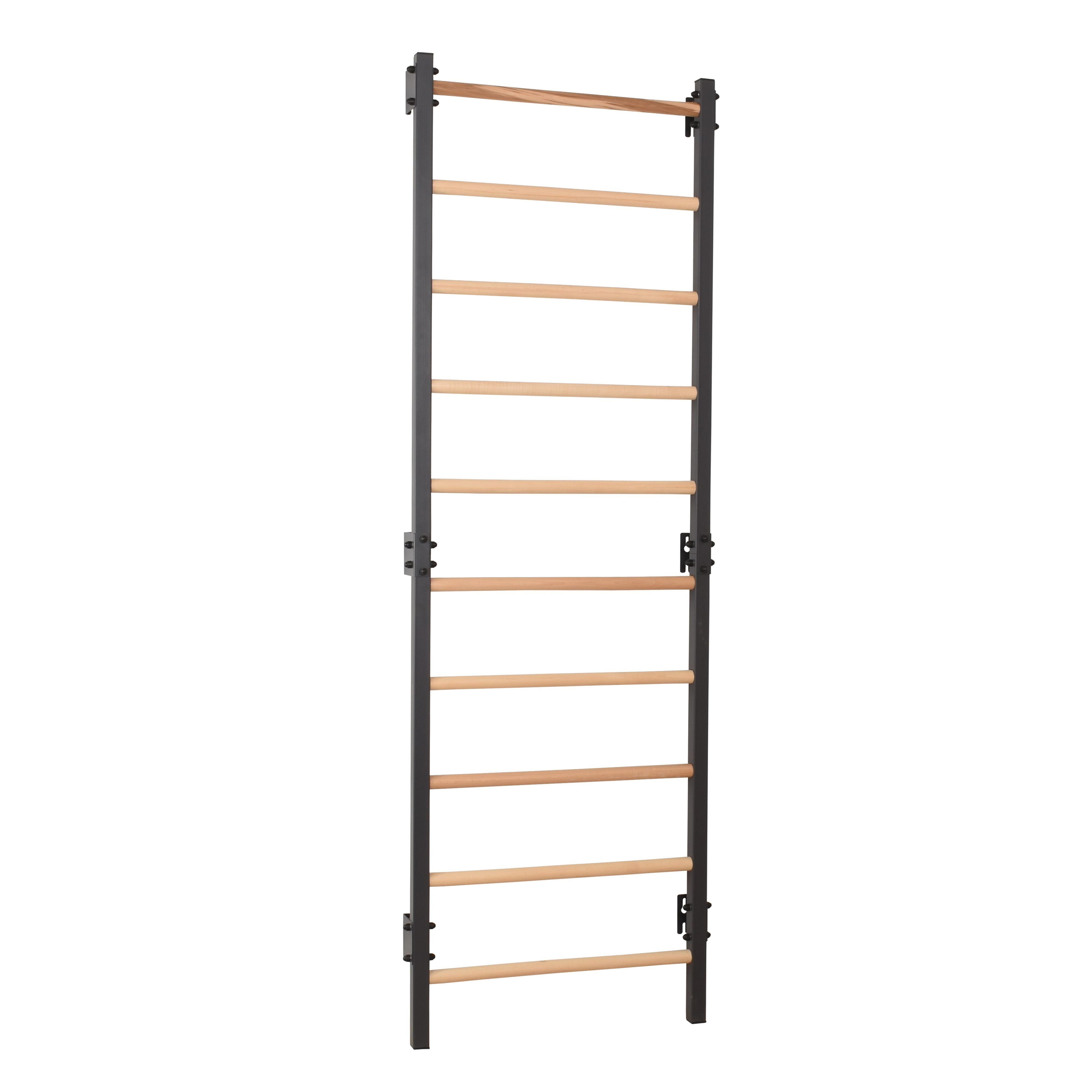 Metallische Sprossenwand STEEL 1 – Graphit mit Buchenholzsprossen | RINAGYM