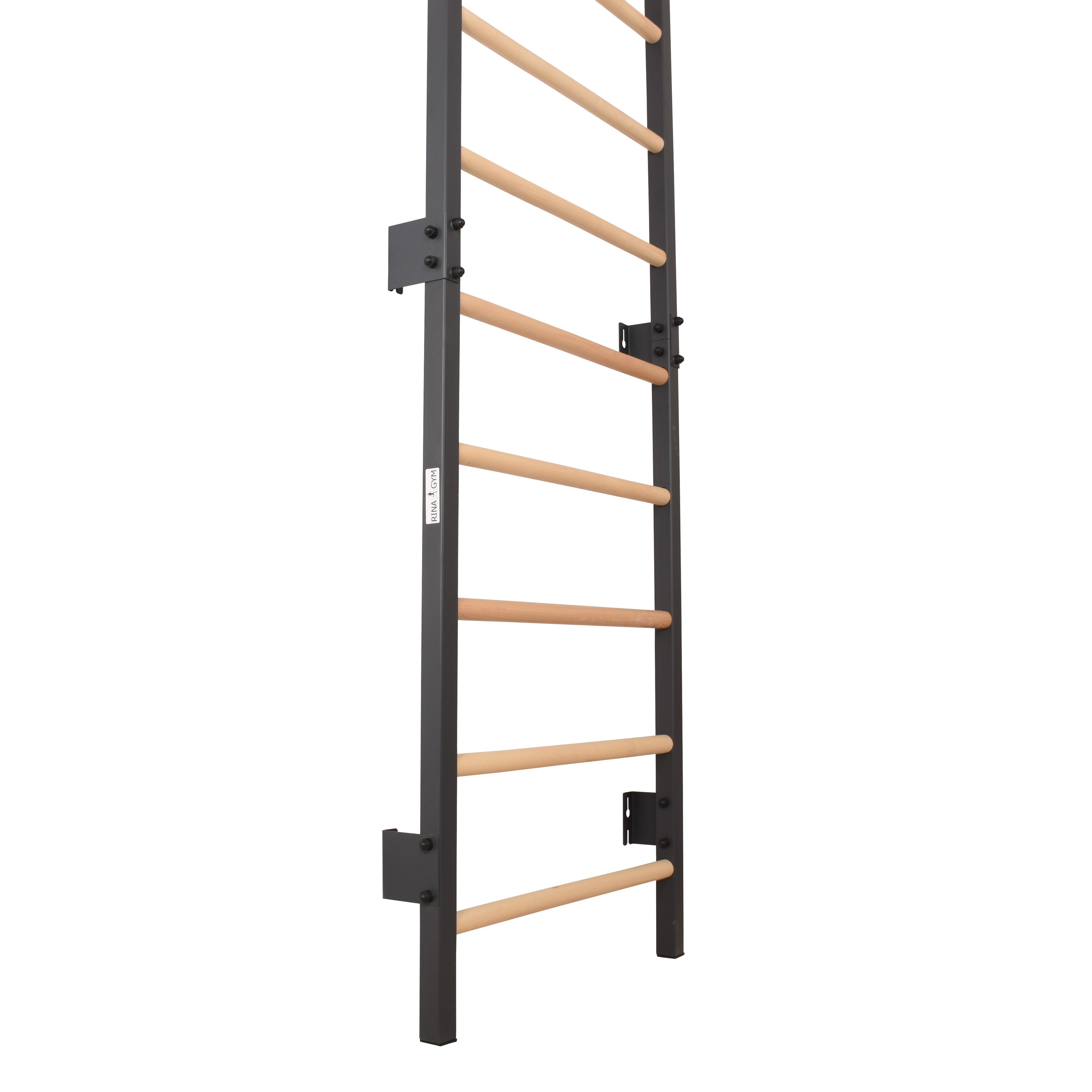 Metallische Sprossenwand STEEL 1 – Graphit mit Buchenholzsprossen | RINAGYM