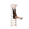 Climbing wall for children with height-adjustable bar - wooden climbing frame - wall horizontal bar, bar, gymnastics rings, climbing rope (K 265)