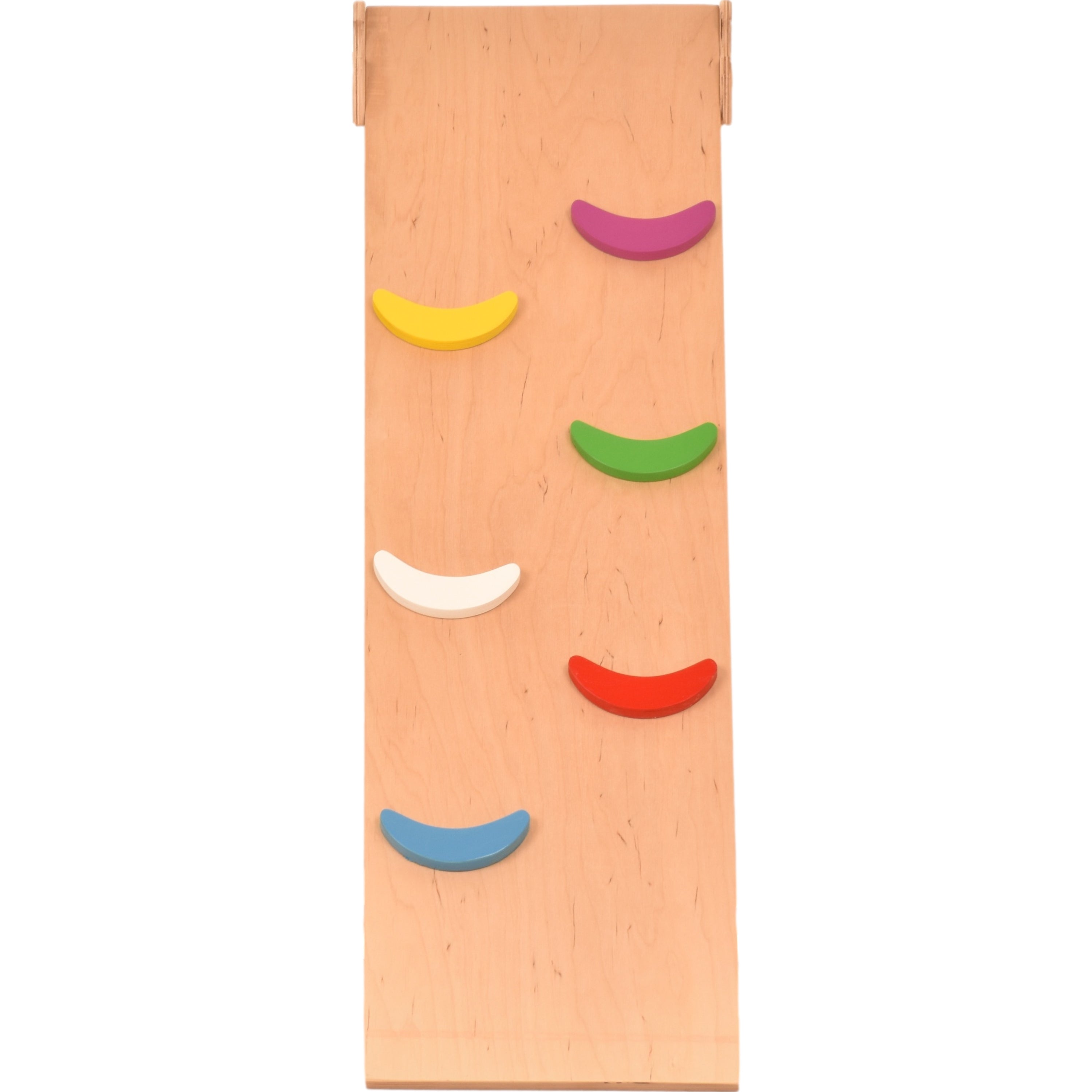 RINAGYM pedana scorrevole/scala per galline accessori per arrampicata rampa triangolare 115*33 cm (mezze lune)